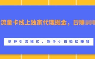 流量卡线上独家代理掘金，日入1k+ ，多种引流模式，新手小白轻松上手【揭秘】