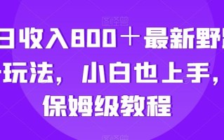 单日收入800＋最新野路子玩法，小白也上手，保姆级教程