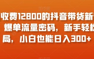 外面收费12800的抖音带货新奇玩法，爆单流量密码，新手轻松入局，小白也能日入300+【揭秘】