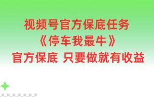 视频号官方保底任务，停车我最牛，官方保底只要做就有收益【揭秘】