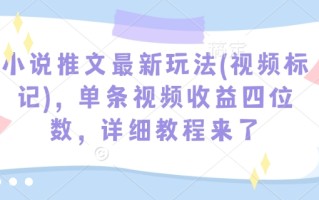 小说推文最新玩法(视频标记)，单条视频收益四位数，详细教程来了