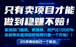 只有卖项目才能做到稳挣不赔，门槛低，更简单，你也可以年入百个W【揭秘】