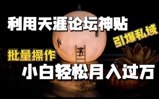 利用天涯论坛神贴，引爆私域，批量操作，小白轻松月入过w【揭秘】