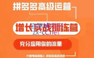 大麦老师·拼多多单品爆款打造课程(更新6月)