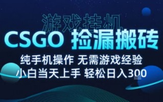 8月最新游戏搬砖，CSGO纯挂G，不需要玩游戏，实现真挂G，月入1W+【揭秘】