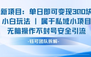 新项目单日即可变现3张的小白玩法无脑操作不封号安全引流