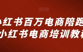 小红书百万电商陪跑，小红书电商培训教程