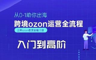 OZON入门到高阶全流程，从0-1助你出海，跨境ozon运营全流程