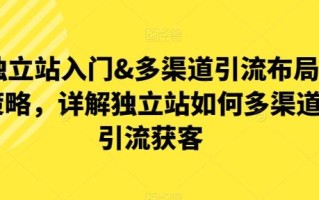 独立站入门&多渠道引流布局策略，详解独立站如何多渠道引流获客