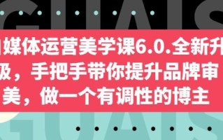 自媒体运营美学课6.0.全新升级，手把手带你提升品牌审美，做一个有调性的博主