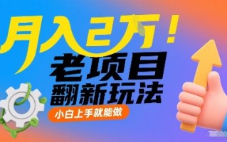 月入2W！老项目翻新玩法，小白上手就能做，非常容易上手