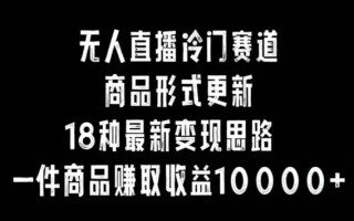 无人直播冷门赛道，商品形式更新，18种变现思路，一件商品赚取收益10000+【揭秘】