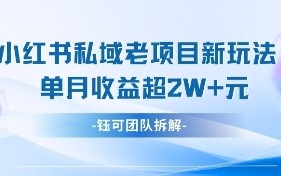 小红书私域项目新玩法，单月变现过W+
