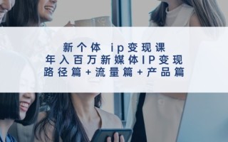 新个体ip变现课，年入百万新媒体IP变现，路径篇+流量篇+产品篇