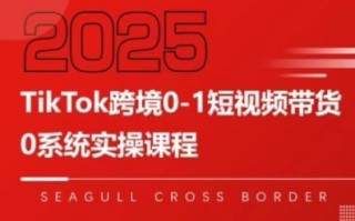 TikTok跨境0-1短视频带货，系统拆解TikTok跨境带货全链路，实现跨境可持续盈利