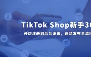 TikTok Shop新手30课，开店注册到后台设置，选品发布全流程教学