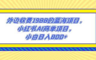 外边收费1988的蓝海项目，小红书AI商单项目，小白日入800+