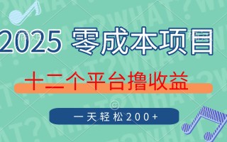 2025年零成本项目，十二个平台撸收益，单号一天轻松200+