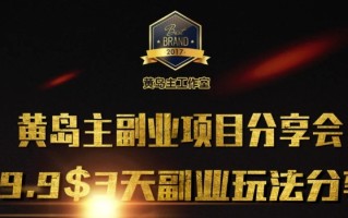 黄岛主副业分享会1期：3天3个副业玩法，速度上车