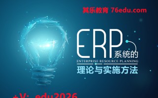 ERP系统的理论与实施方法（5集） mp4高清无水印视频教程网盘免费下载