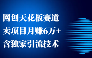 网创天花板赛道，卖项目月赚6万+，含独家引流技术(共26节课)