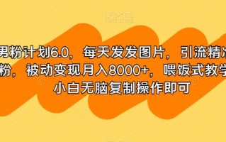 男粉计划6.0，每天发发图片，引流精准男粉，被动变现月入8000+，喂饭式教学，小白无脑复制操作即可