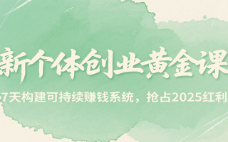 新个体创业黄金课，7天构建可持续赚钱系统，抢占2025红利