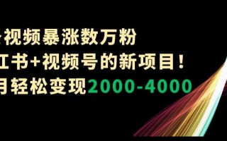 1条视频暴涨数万粉–小红书+视频号的新项目！单月轻松变现2000-4000【揭秘】
