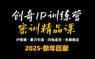 2025年“知识付费IP训练营”小白避坑年赚百万，暴力引流，闪电成交
