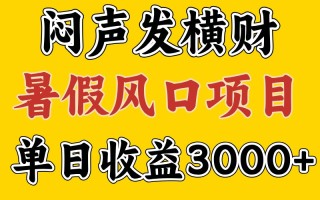 30天赚了7.5W 暑假风口项目，比较好学，2天左右上手