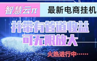 智慧云π电脑挂机单机每天收益300—500+ 并带有团队管道收益 可无限放大