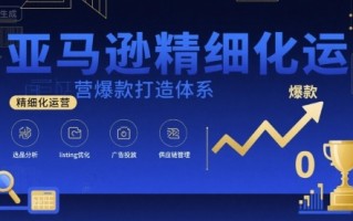 亚马逊精细化运营爆款打造体系，视频课+全套资料文档