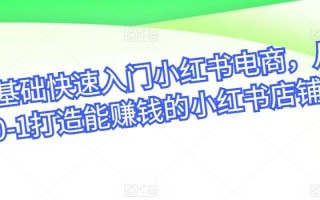 零基础快速入门小红书电商，从0-1打造能赚钱的小红书店铺