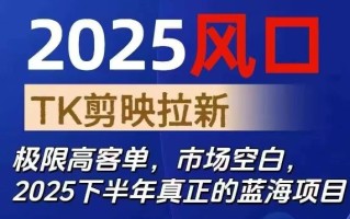 2025风口TK剪映capcut拉新项目，极限高客单，市场空白，2025下半年真正的蓝海项目