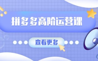 拼多多高阶运营课：极致群爆款玩法，轻付费无尽复制，打造单品爆款之路