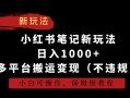 小红书笔记新玩法，日入1000+，多平台搬运变现(不违规)，小白可操作，保姆级教程【揭秘】