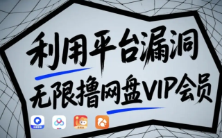 利用平台漏洞，无限撸网盘VIP会员，用户亲测有效！【漏洞原理+操作演示】