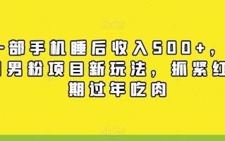 一部手机睡后收入500+，11月男粉项目新玩法，抓紧红利期过年吃肉