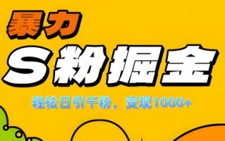 单人单机日引千粉，变现1k+，S粉流量掘金计划攻略【揭秘】