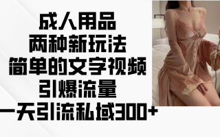 成人用品两种新玩法，简单的文字视频引爆流量，一天引流私域300+