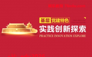 基层党建特色实践创新探索（4集） mp4高清无水印视频教程网盘免费下载