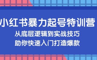 小红书暴力起号训练营，从底层逻辑到实战技巧，助你快速入门打造爆款