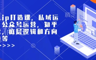个人ip打造课，私域运营，公众号运营，知乎运营，底层逻辑和方向定位等