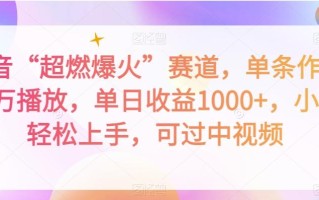 抖音“超燃爆火”赛道，单条作品千万播放，单日收益1000+，小白轻松上手，可过中视频【揭秘】