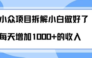 小众项目拆解，小白做好了每天可增加1000多的收入
