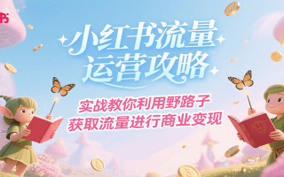 小红书流量运营攻略，实战教你利用野路子获取流量进行商业变现