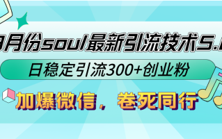 9月份soul最新引流技术5.0，日稳定引流300+创业粉，加爆微信，卷死同行