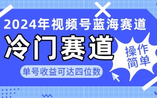 2024视频号冷门蓝海赛道，操作简单 单号收益可达四位数(教程+素材+工具