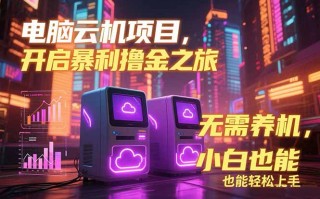 电脑云机项目 暴力撸金玩法，不需要养机 配置没有要求 单机100个窗口一…