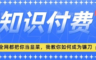 2024最新知识付费项目，小白也能轻松入局，全网都在教你做项目，我教你做镰刀【揭秘】
